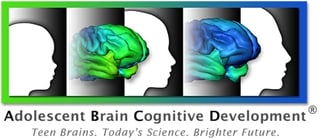 Picture of ABCD Study