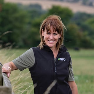 Picture of Minette Batters