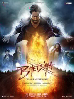Picture of Bhediya
