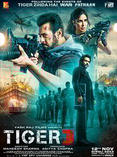 Picture of Tiger 3