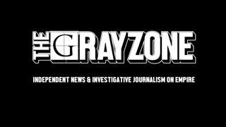 Picture of The Grayzone