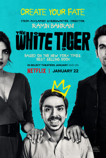 Picture of The White Tiger