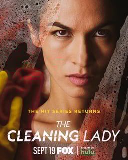 Picture of The Cleaning Lady