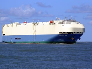 Picture of Felicity Ace