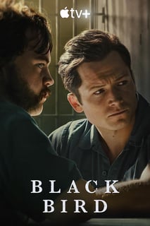 Picture of Black Bird