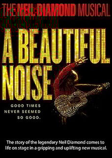 Picture of A Beautiful Noise
