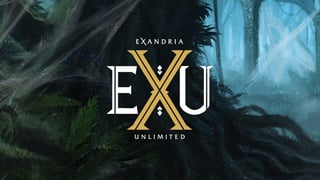 Picture of Exandria Unlimited