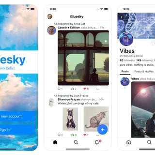 Picture of Bluesky Social