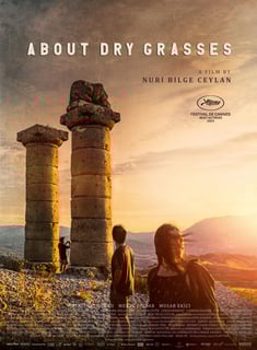 Picture of About Dry Grasses