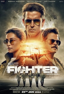 Picture of Fighter