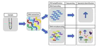 Picture of Metabarcoding