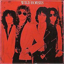 Picture of Wild Horses