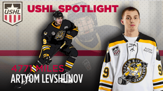 Picture of Artyom Artem Levshunov