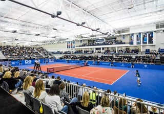 Picture of Dallas Open