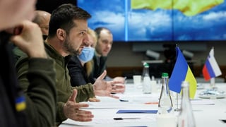 Picture of 2022 Russia–Ukraine peace negotiations