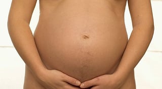 Picture of Belly