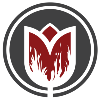 Picture of Viceroy Research