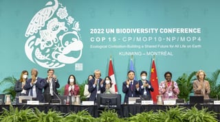 Picture of 2024 United Nations Biodiversity Conference
