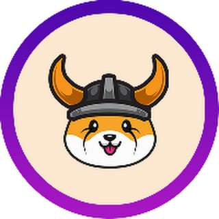 Picture of Floki Inu