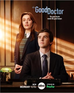 Picture of The Good Lawyer