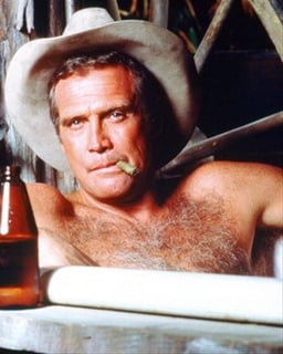 Picture of Colt Seavers