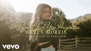 Picture of I Can't Love You Anymore