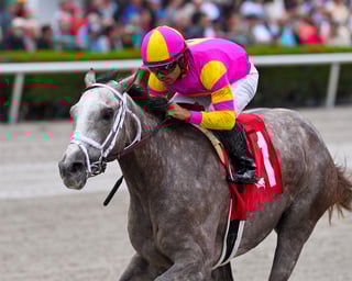 Picture of Tapit Trice