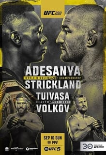 Picture of UFC 293