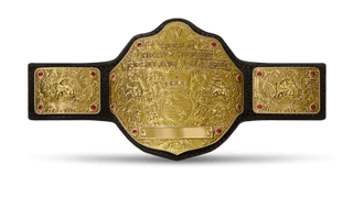 Picture of World Heavyweight Championship
