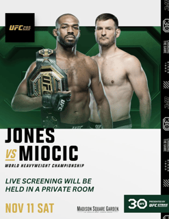 Picture of UFC 295