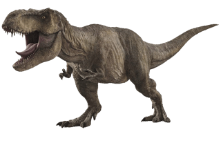Picture of Rexy