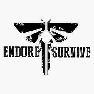 Picture of Endure and Survive