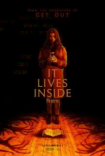 Picture of It Lives Inside