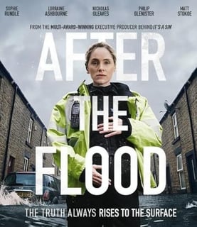 Picture of After the Flood