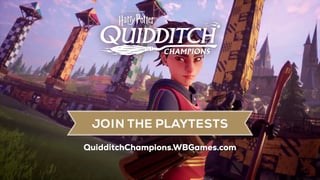 Picture of Harry Potter: Quidditch Champions