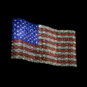 Picture of America Has a Problem