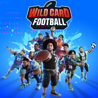 Picture of Wild Card Football