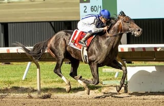 Picture of Geaux Rocket Ride