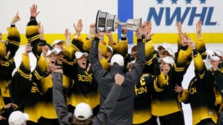 Picture of Boston PWHL team