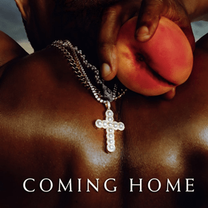Picture of Coming Home