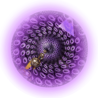 Picture of HyperVerse