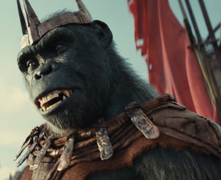 Picture of Proximus Caesar