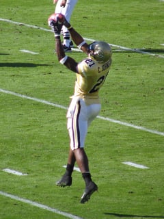 Picture of Wide receiver