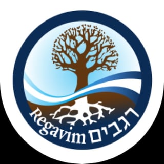 Picture of Regavim