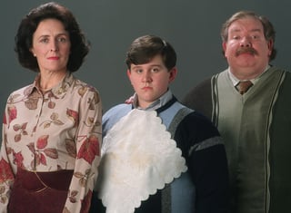 Picture of Dursley family