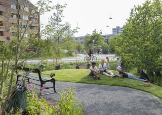 Picture of Urban green space