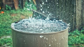 Picture of rainwater