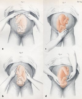 Picture of Obstetrics and gynaecology