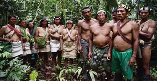 Picture of Tagaeri