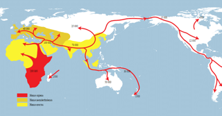 Picture of Human migration